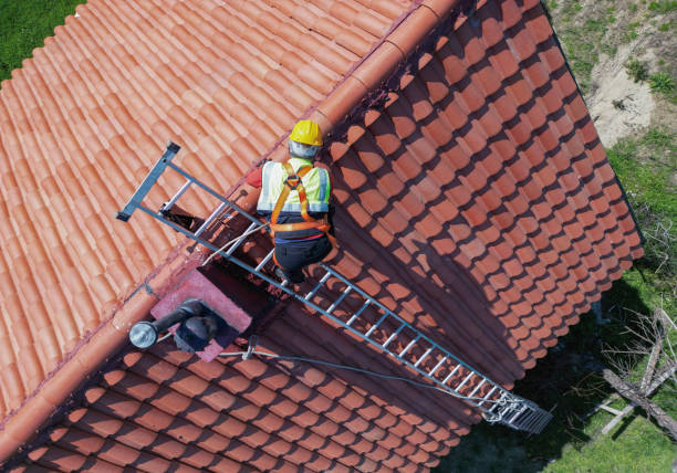 Best Roof Moss and Algae Removal  in Due West, SC